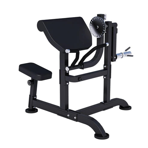 Curl bænk Preacher Curl MAXXUS